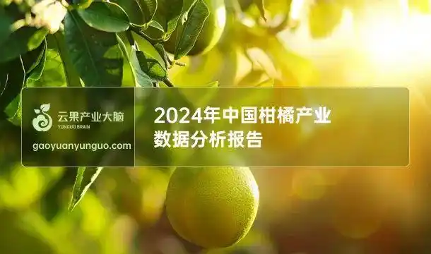 2024年中国柑橘产业数据分析简报